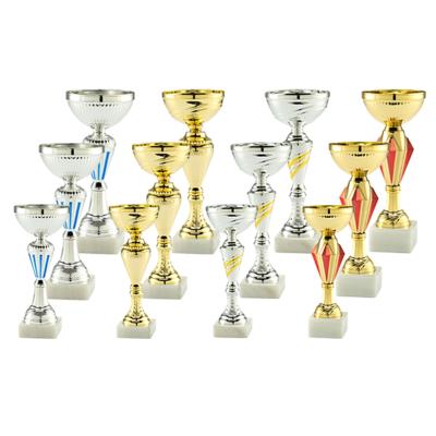 Lot de 12 coupes