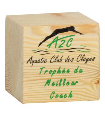 Trophée Cube en bois