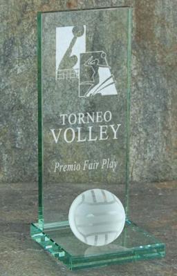 Trophée Austin Volley