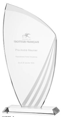 Trophée Man