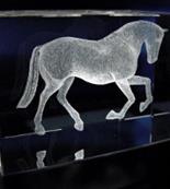 Trophée Cheval 3D