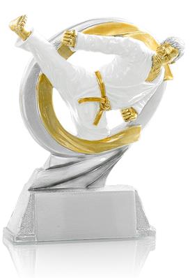 Trophée Karaté 3871413