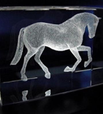 Trophée Cheval 3D