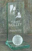 Trophe Austin Volley